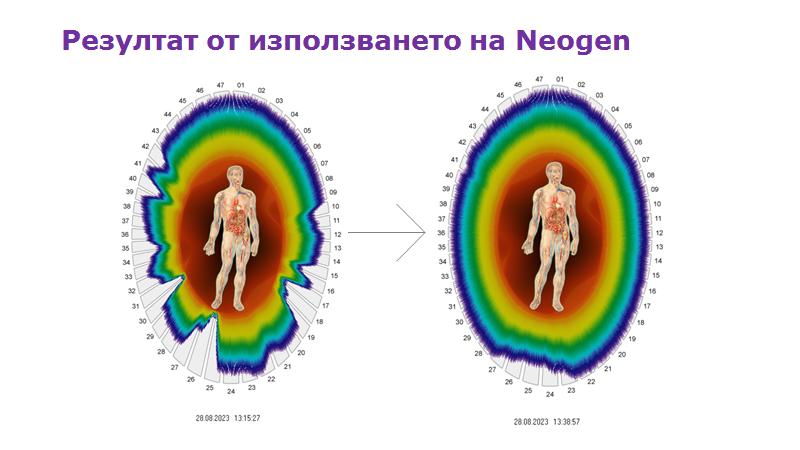 РЕЗ.jpg